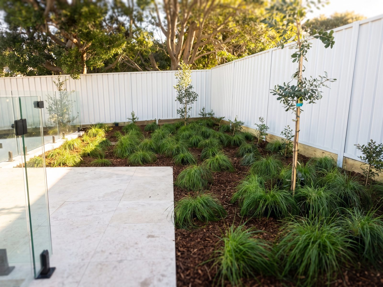 Finished backyard landscaping with lawn, garden beds and paving