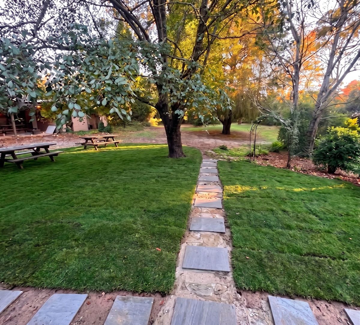 Bluestone paver path through an established lawn toward a large shade tree